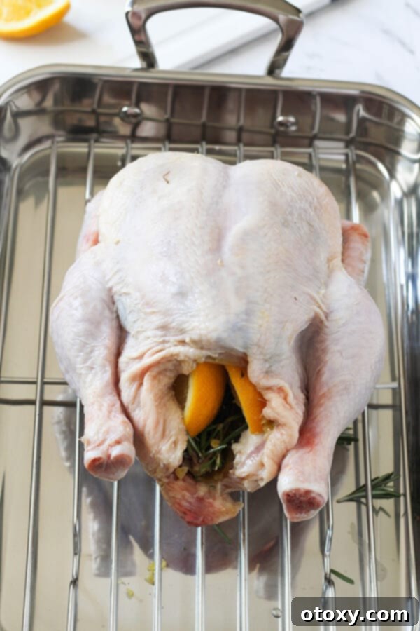 A whole chicken, plump and ready for the oven, with its cavity filled with fragrant lemon wedges and fresh rosemary sprigs.