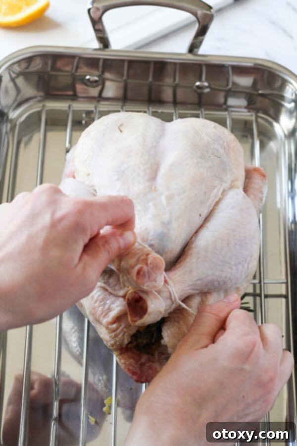 A hand expertly tying the legs of a whole chicken together with kitchen string, preparing it for even roasting and a neat presentation.