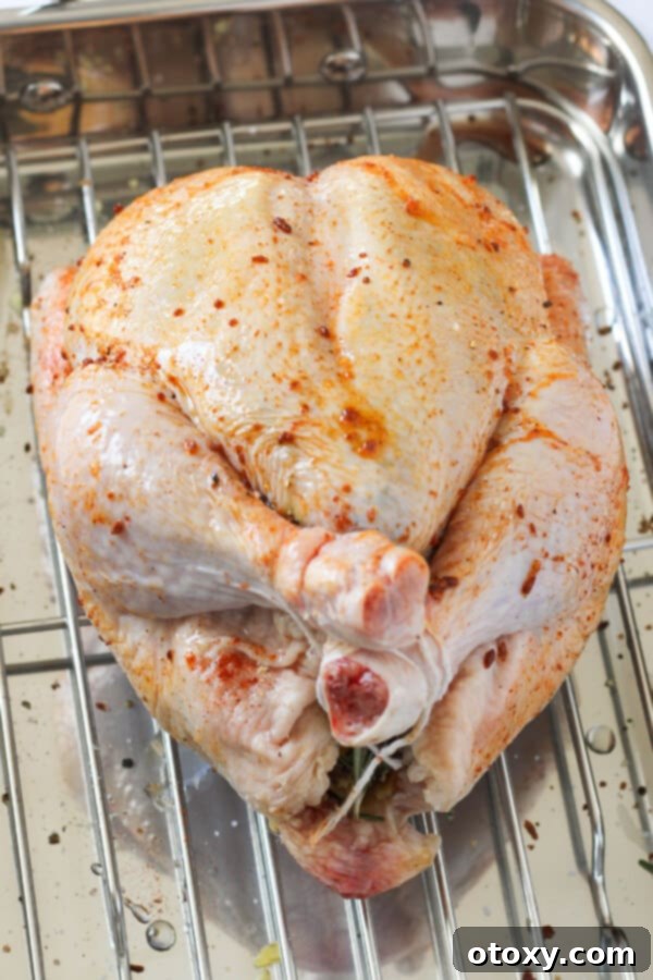 The seasoned whole chicken, positioned breast side up in a baking tray, glistening and ready to be placed into the hot oven.