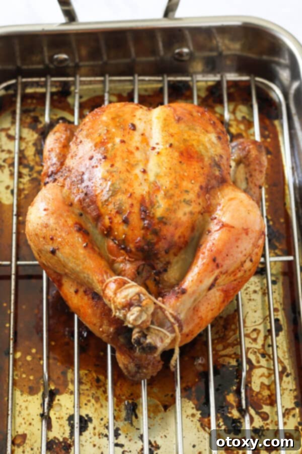 A magnificent whole roast chicken, golden and inviting, presented on a large white plate, signifying it's perfectly cooked and ready to be rested.