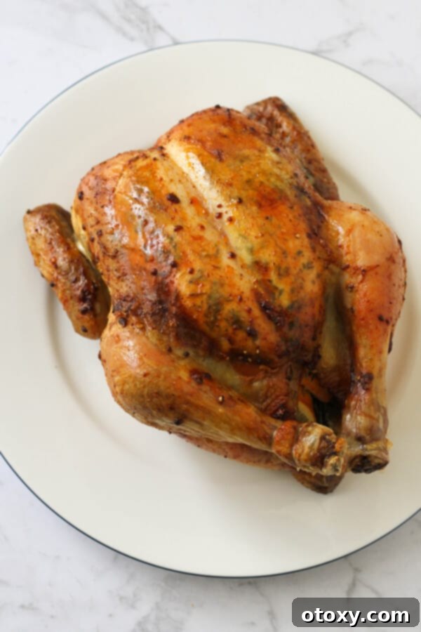 A final glorious shot of the golden-brown roast chicken on a white plate, highlighting its perfect crisp skin and inviting presentation, ready for carving.