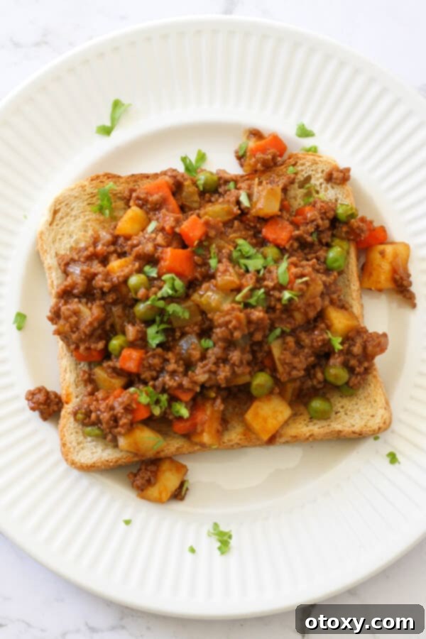 Savoury mince in a bowl, ready for storage or another serving.