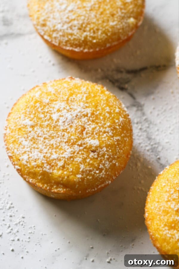 Zesty Orange Almond Tea Cakes 11 A beautifully arranged plate of Flourless Orange and Almond Cakes, ready for enjoyment.