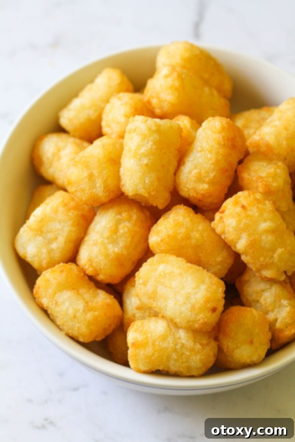 A pristine white bowl brimming with perfectly cooked, golden-brown air fryer tater tots, ready to be enjoyed.