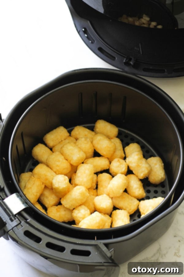 A close-up view of an air fryer basket, perfectly filled with golden and ready-to-be-cooked tater tots.