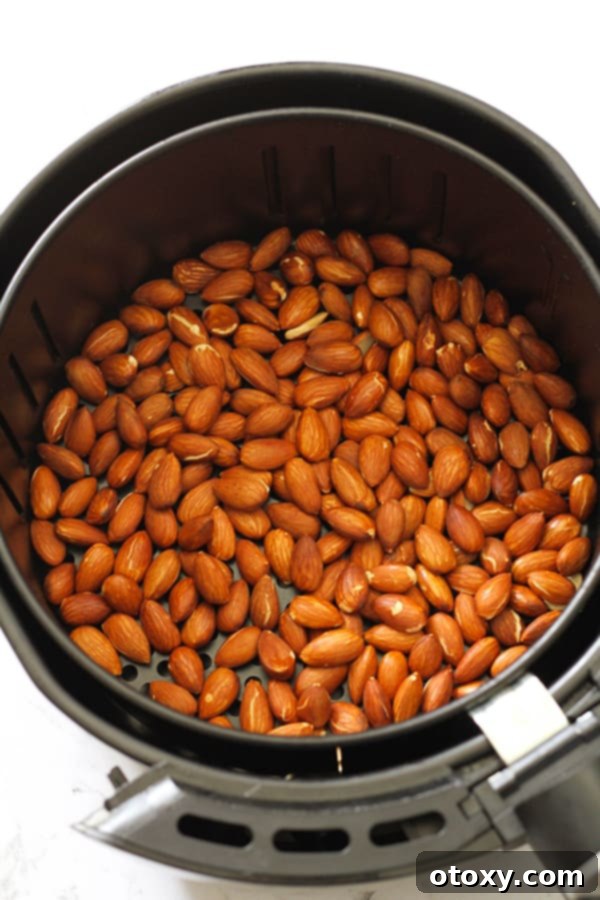 Perfectly dry roasted almonds evenly distributed in an air fryer basket, showing their golden-brown hue after cooking.