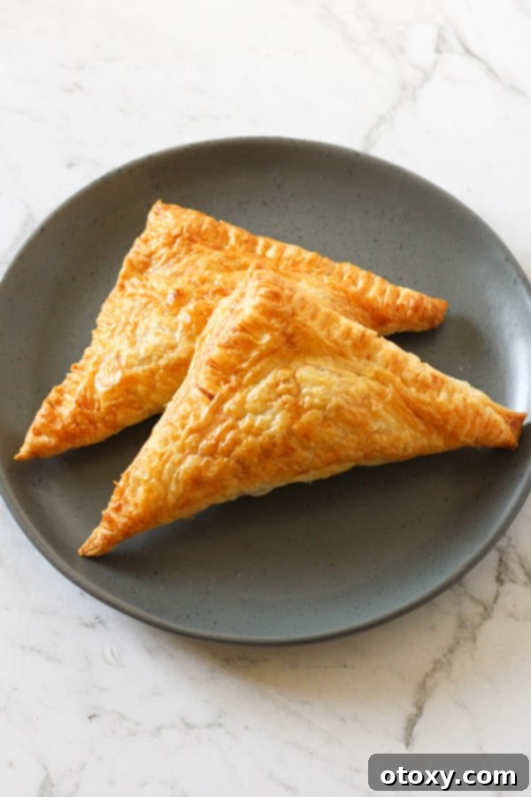 Two perfectly golden air fryer apple turnovers arranged on a stylish grey plate, ready to be enjoyed.