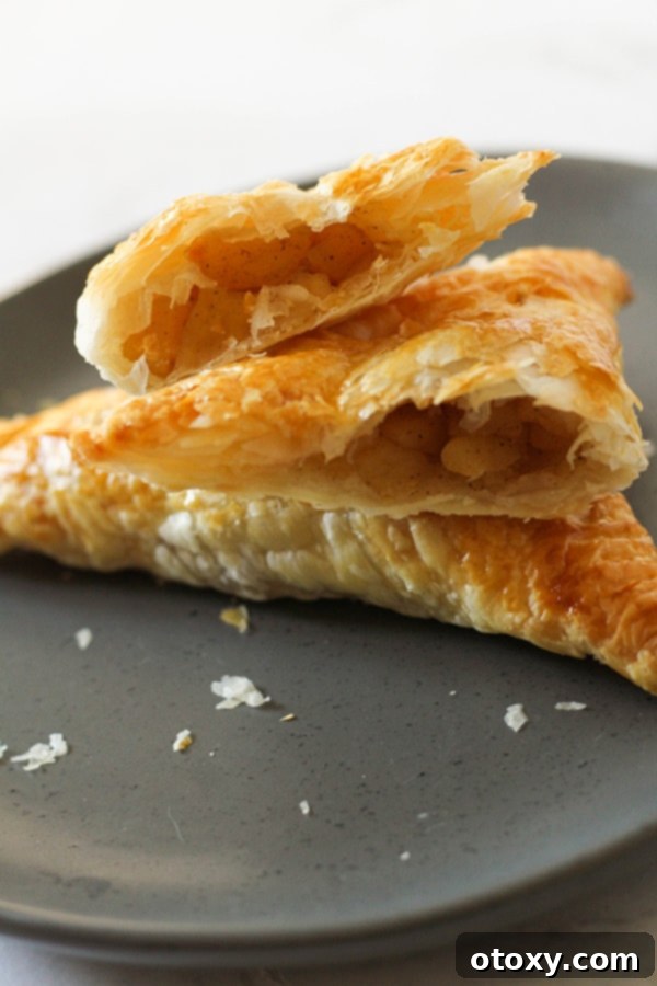 A single air fryer apple turnover, beautifully golden and broken in half, revealing its warm apple filling, presented on a grey plate.