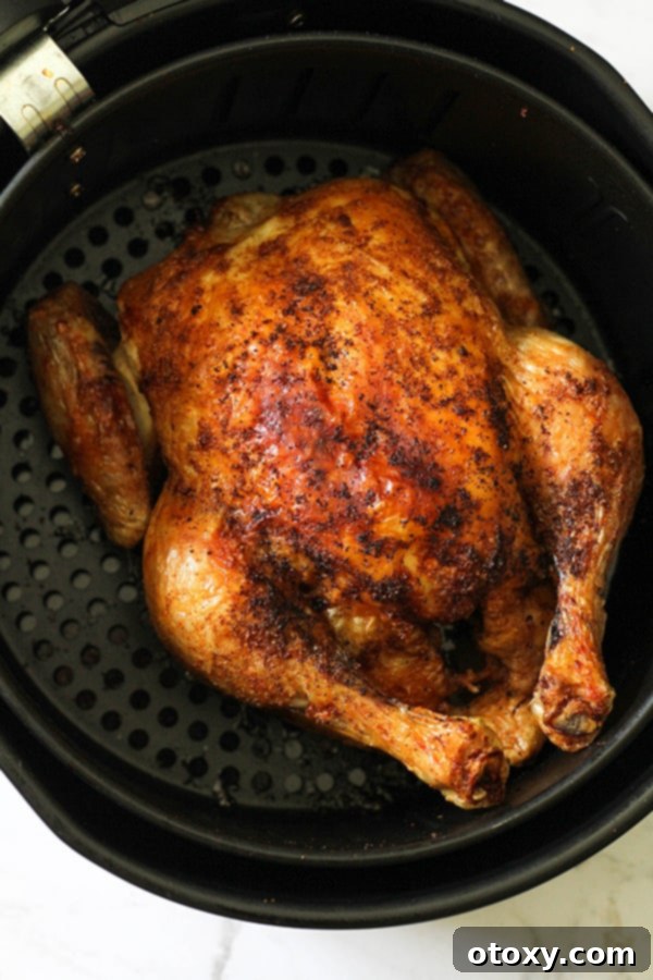 Whole roast chicken sitting in air fryer basket.