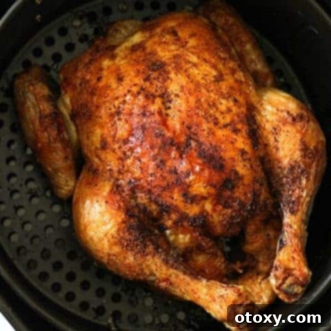 Whole roast chicken sitting in air fryer basket.