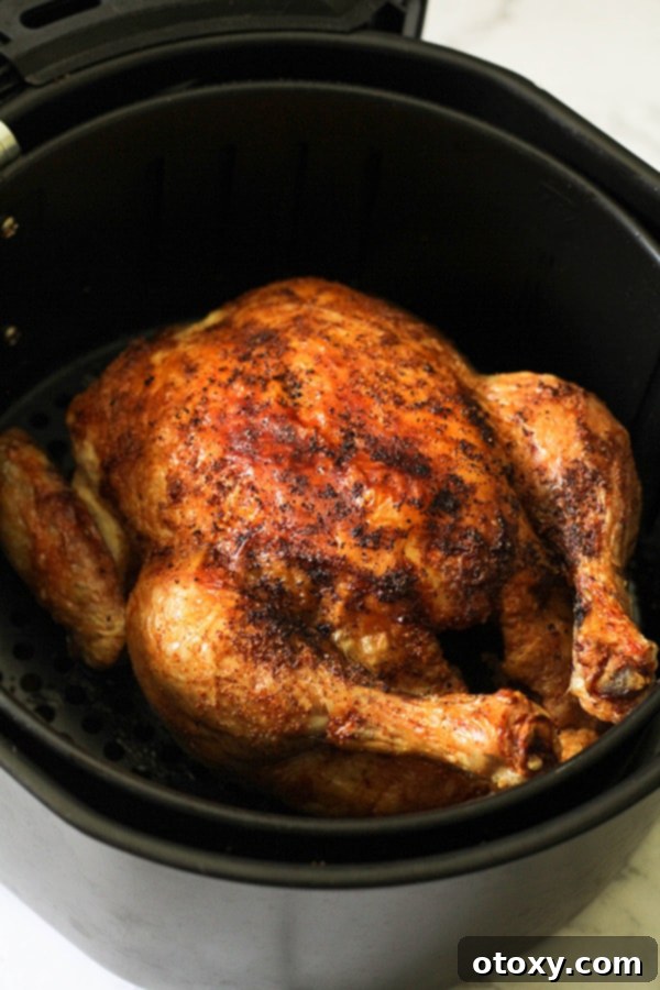 Whole roast chicken sitting in air fryer basket.