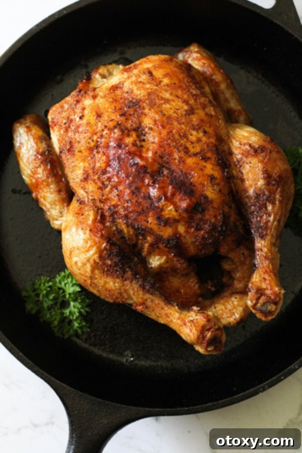 Whole roast chicken sitting in air fryer basket.