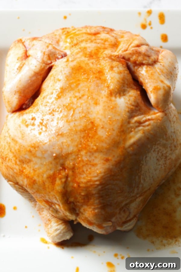 chicken sitting on a large plate rubbed in seasoning.