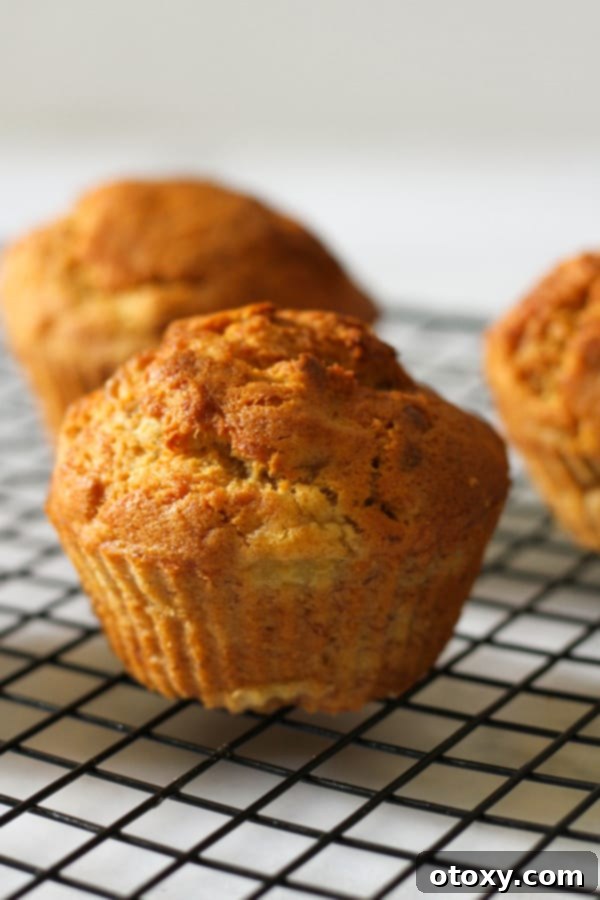 Freshly baked air fryer banana muffins cooling on a wire rack, showcasing their golden-brown tops and inviting texture.
