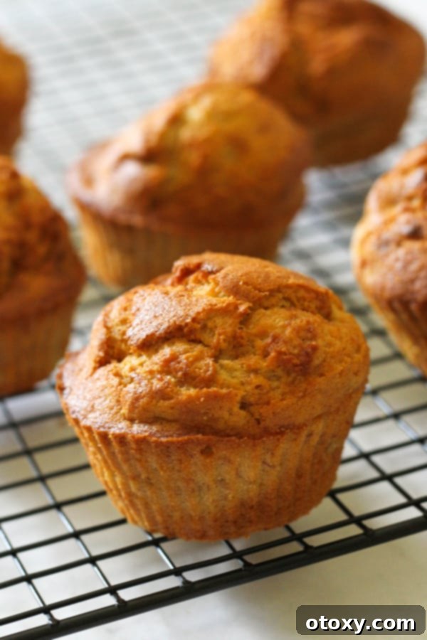 A close-up shot of two delicious air fryer banana muffins, one with a bite taken out, resting on a cooling rack.