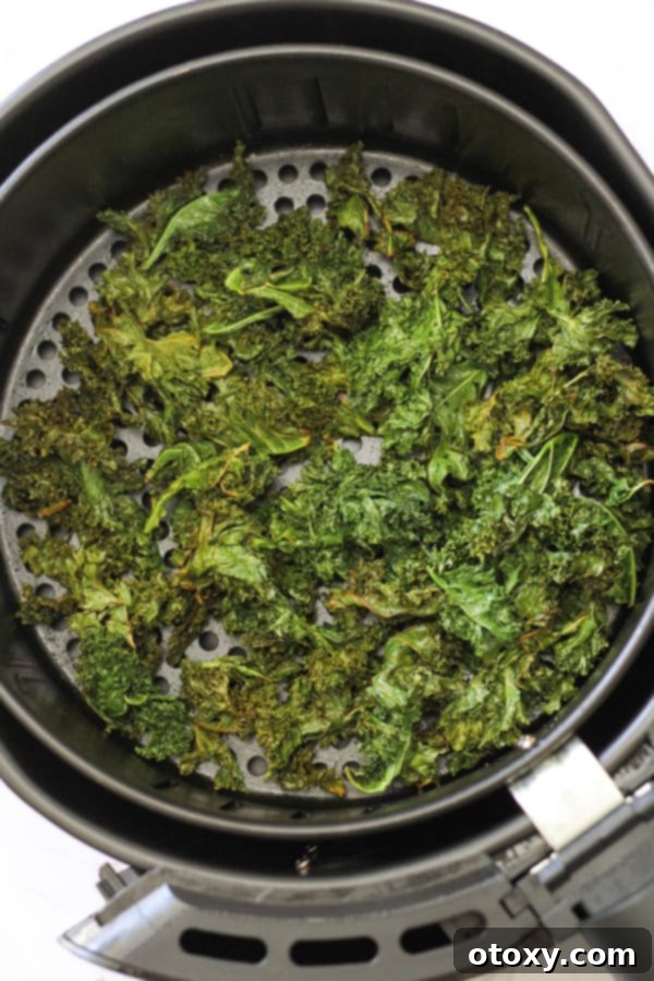 Sweet and Salty Air Fryer Kale Crisps 3 Close-up view of vibrant green sweet and salty kale chips nestled in an air fryer basket, perfectly crispy and lightly browned.