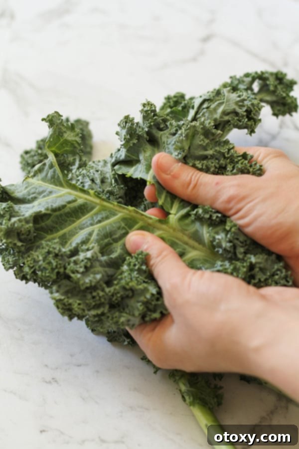 Sweet and Salty Air Fryer Kale Crisps 5 Hands meticulously pulling vibrant green kale leaves away from their tough central stems, preparing them for an air fryer recipe.