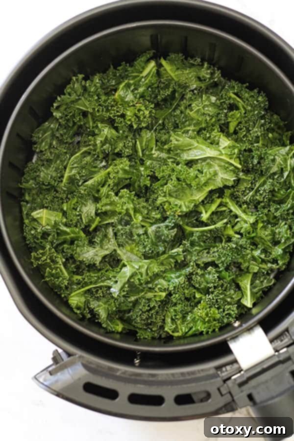Sweet and Salty Air Fryer Kale Crisps 7 Perfectly seasoned kale leaves spread out in a single, even layer within an air fryer basket, ready for cooking.