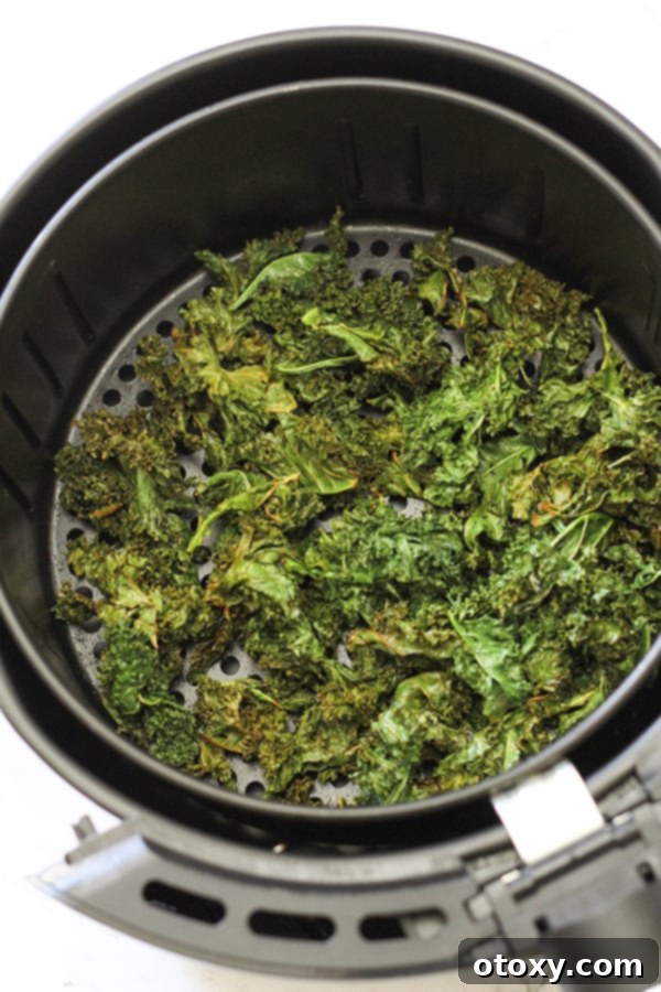 Sweet and Salty Air Fryer Kale Crisps 8 A close-up shot of crispy, golden-brown sweet and salty kale chips in an air fryer basket, ready to be removed and enjoyed.