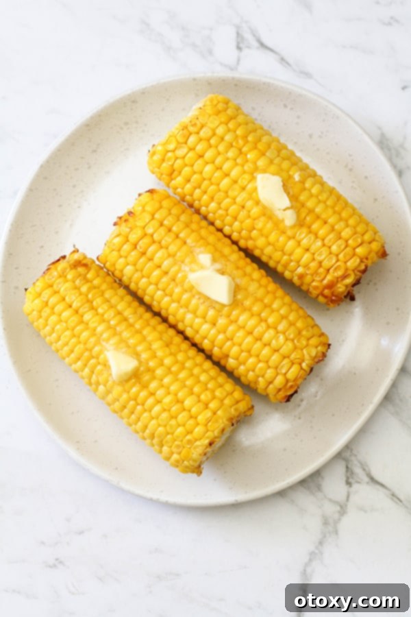 Three perfectly cooked, buttery corn on the cob on a white plate, ready to be enjoyed.