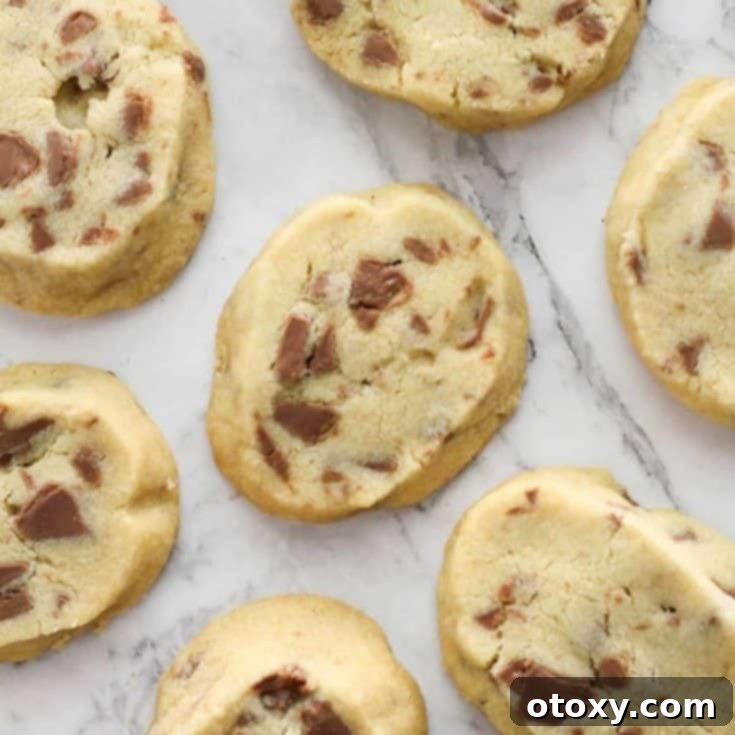 Delicious Chocolate Chip Shortbread Cookies, rich with buttery flavor and chunks of chocolate.