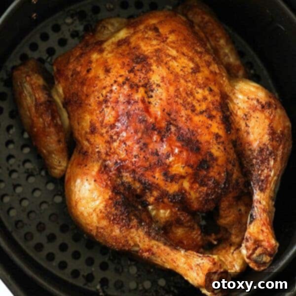 A whole chicken perfectly cooked in an air fryer, showcasing its incredibly crispy golden-brown skin.