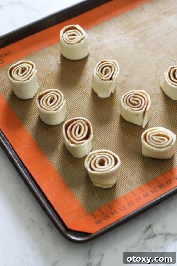 cinnamon pinwheels on a baking tray ready for the oven.