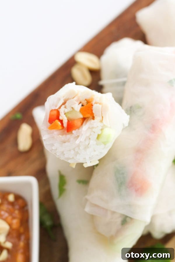 A second stunning shot of chicken rice paper rolls artfully arranged on a wooden board, highlighting their fresh appeal.