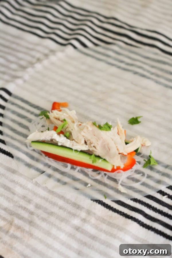 Step-by-step instructions on how to build rice paper rolls, showing the first layer of fillings.